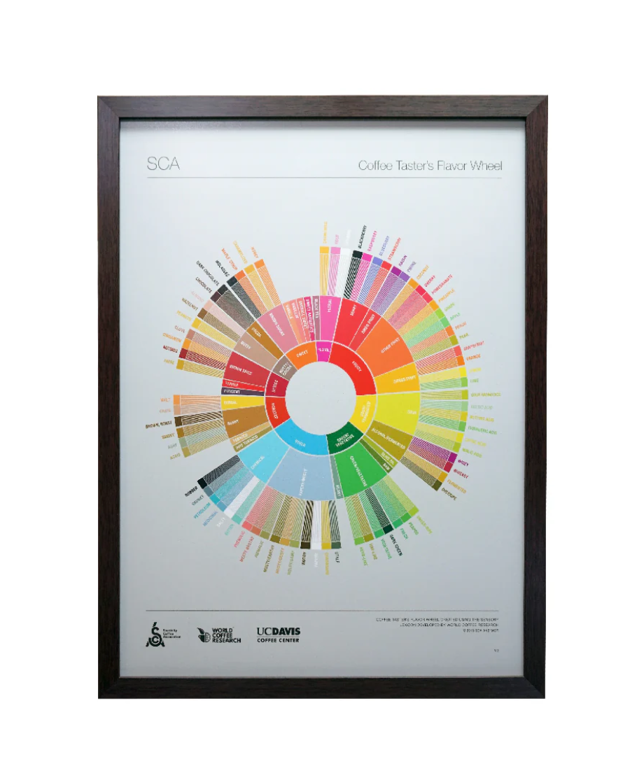 Poster พร้อมกรอบรูป Flavor Wheel / Greenbean Defect