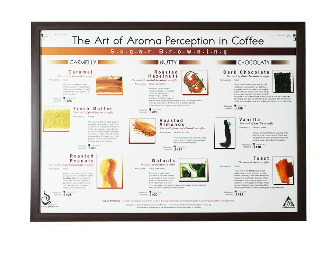 The Art Of Aroma Perception in Coffee Set Poster 4 ชิ้น Intercof