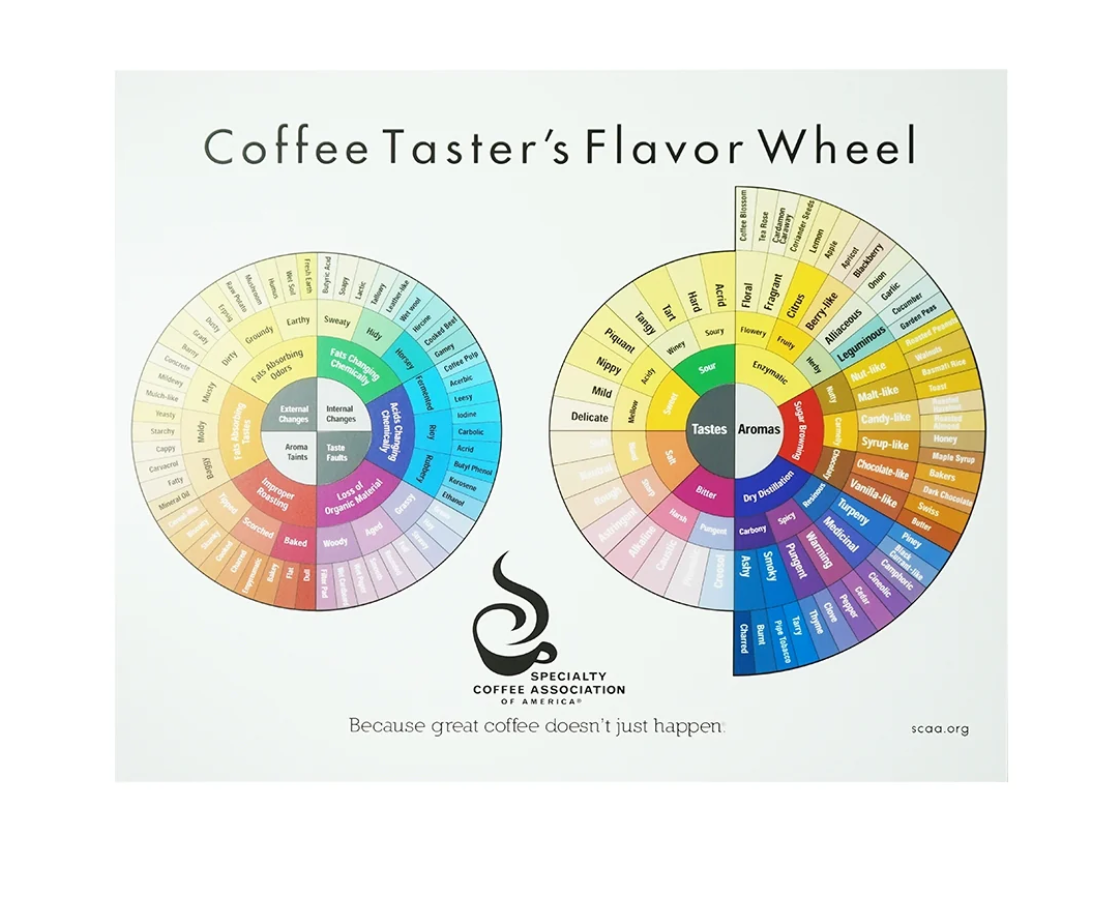 Poster พร้อมกรอบลอย Flavor Wheel / Greenbean Defect